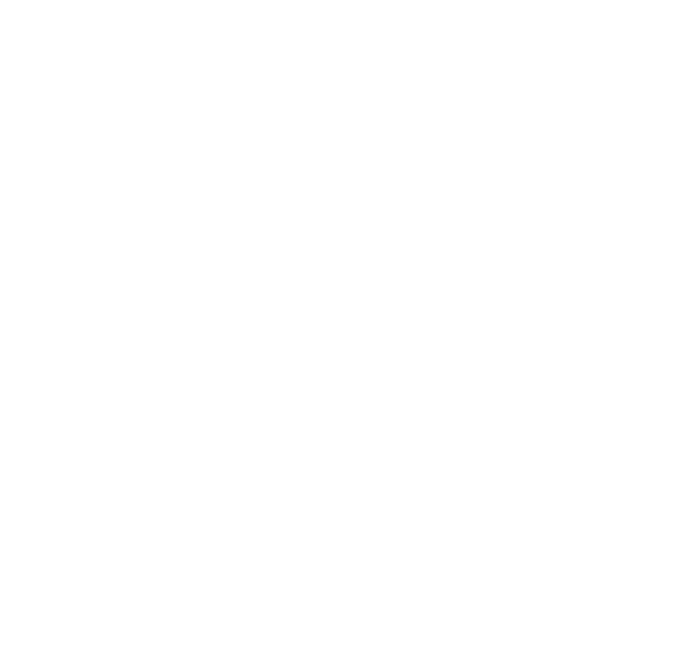spin o logo